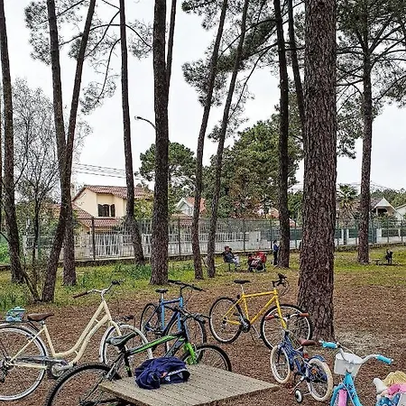 First In Ferienhaus *